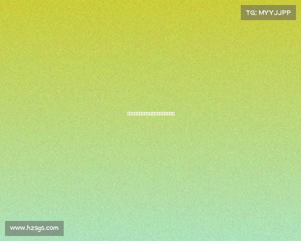 法甲顶级后卫表现分析与未来发展趋势探讨